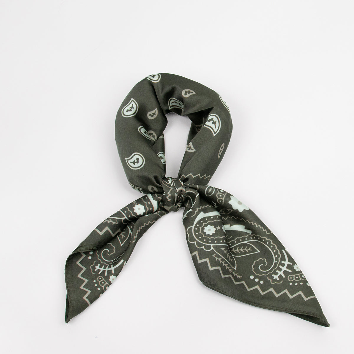 926450  Skjerf, LIte skjerf paisley print to-farget - grønn